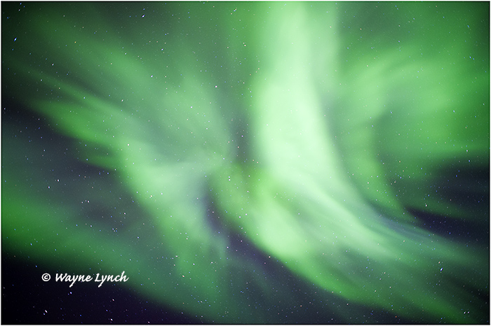Aurora Borealis 48 by Dr. Wayne Lynch &copy;